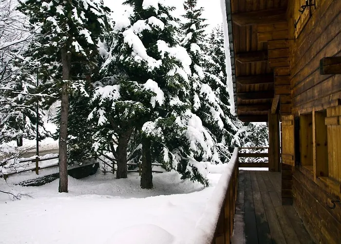 Tradizionale Con Bel Giardino Chalet